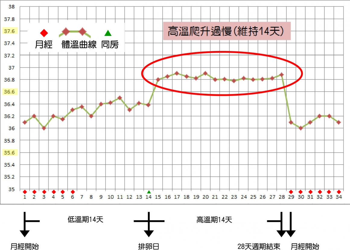 日 貧血 排卵