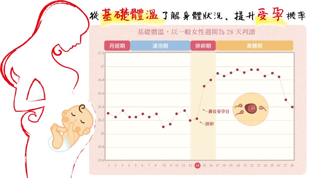 着床出血 体温