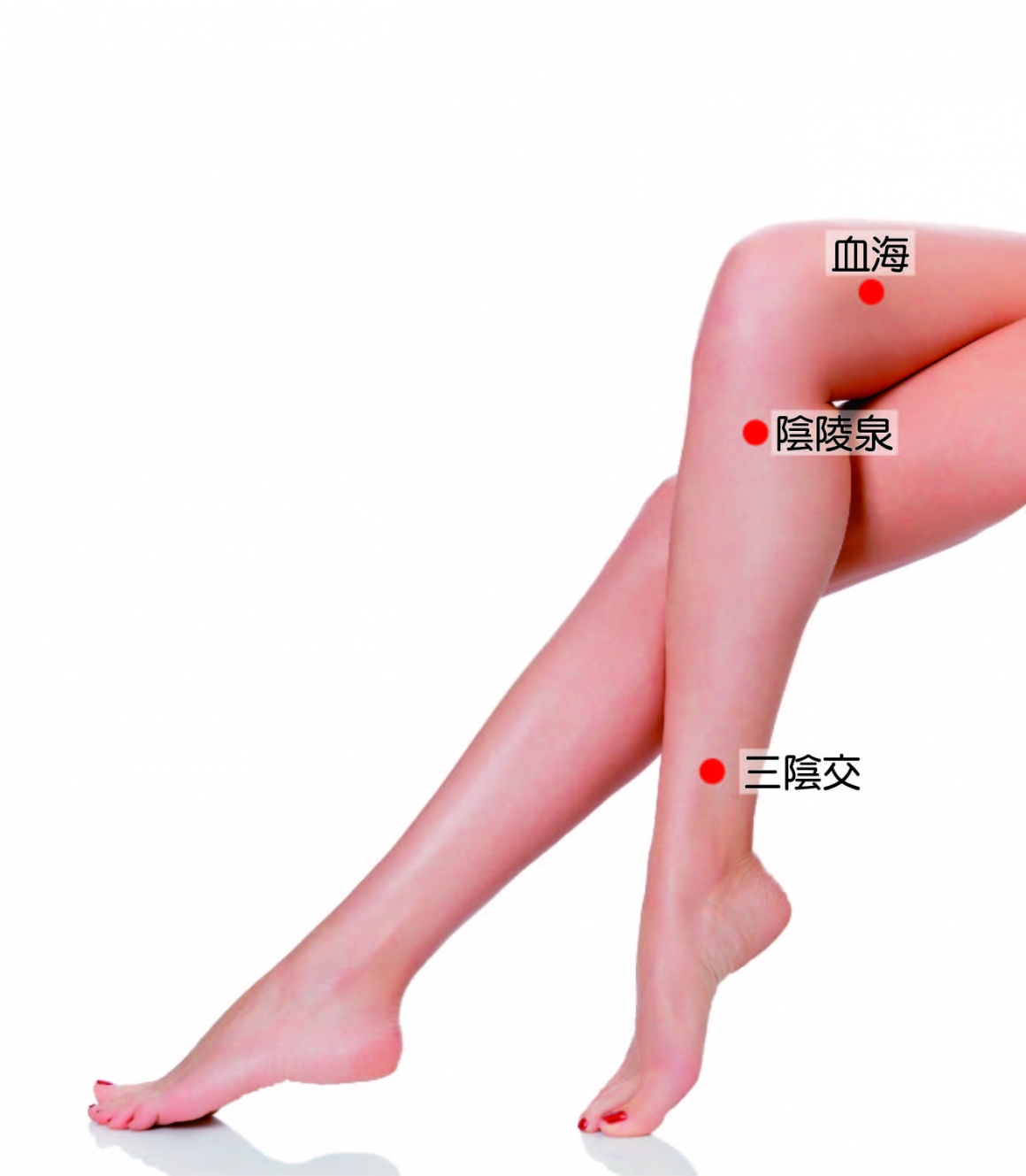 -血海.陰陵泉.三陰交 -血海.陰陵泉.三陰交