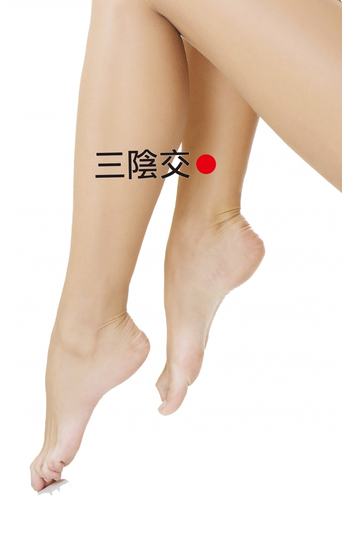 shutterstock_1351845652三陰交穴位 shutterstock_1351845652三陰交穴位