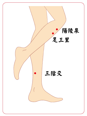 -陽陵-三陰 -陽陵-三陰