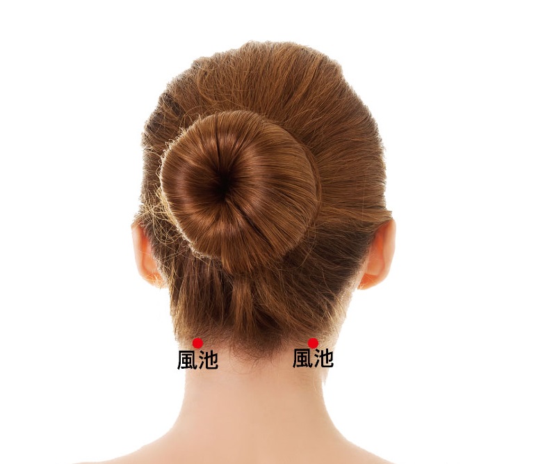 1-風池 1-風池